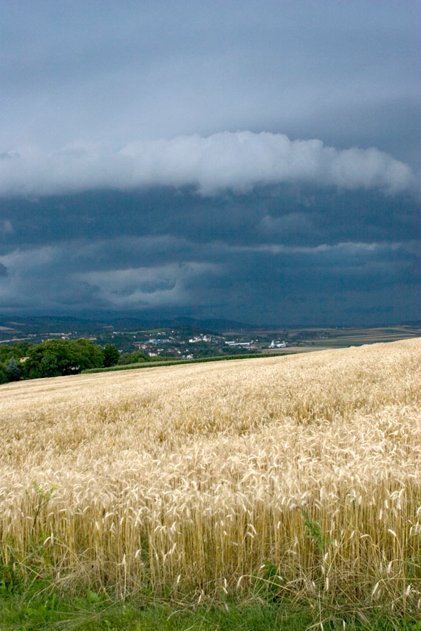 Foto 34/54 (Unwetter vor Almersberg)